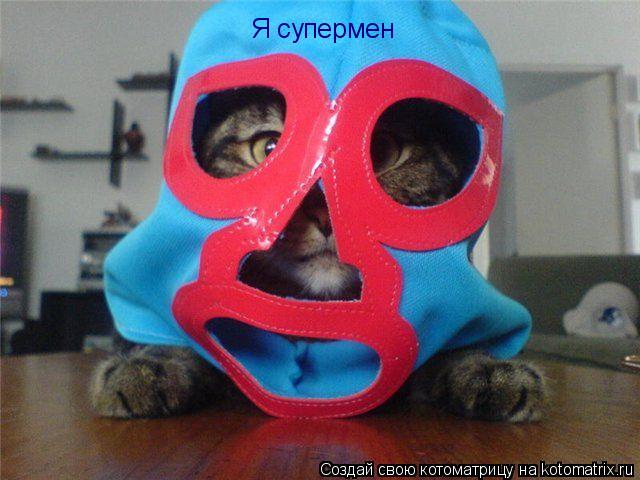 Котоматрица: Я супермен
