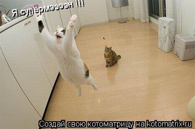 Котоматрица: Я супермээээн !!!