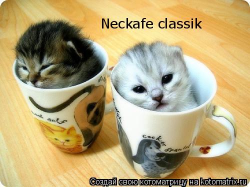 Котоматрица: Neckafe classik