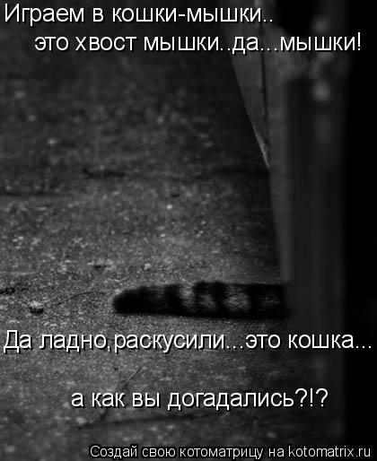 Котоматрица: Играем в кошки-мышки.. это хвост мышки..да...мышки! Да ладно,раскусили...это кошка... а как вы догадались?!?