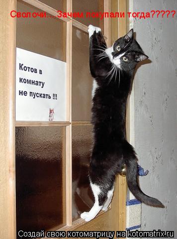 Котоматрица: Сволочи....Зачем покупали тогда?????