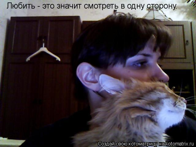 Любить - это значит смотреть в одну сторону.... Котоматрица: Любить - это значит смотреть в одну сторону.