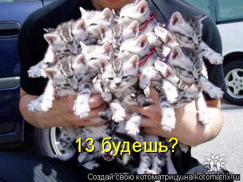 13 будешь?... Котоматрица: 13 будешь?