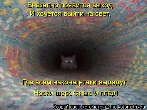 Котоматрица: Внезапно появится выход, И хочется выйти на свет, Где всем наконец-таки выдадут Носки шерстяные и плед!