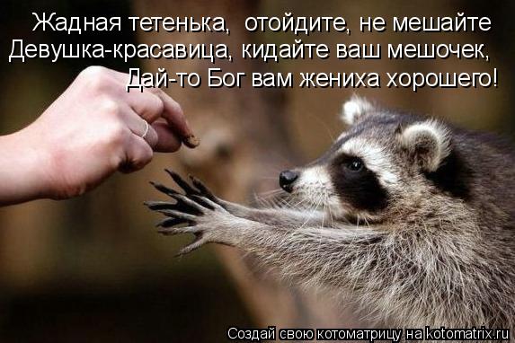 Котоматрица: Жадная тетенька,  отойдите, не мешайте Девушка-красавица, кидайте ваш мешочек, Дай-то Бог вам жениха хорошего!