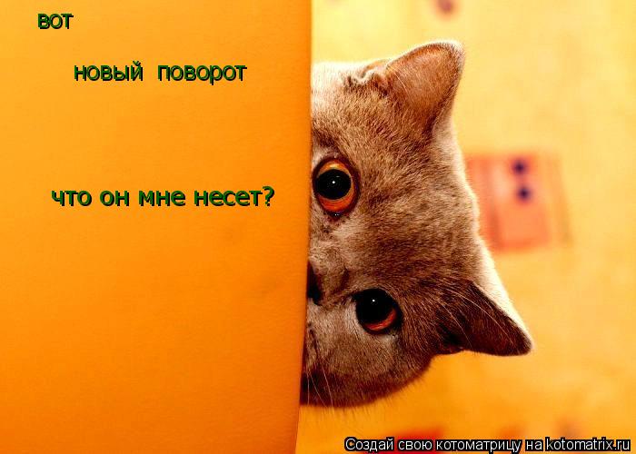 вот новый поворот что он мне несет?... Котоматрица: вот новый поворот что он мне несет?