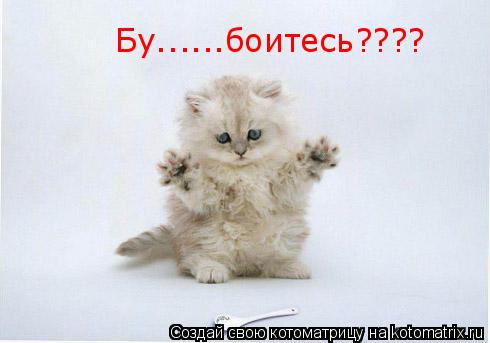 Бу......боитесь????... Котоматрица: Бу......боитесь????