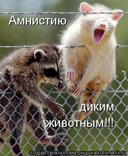 Котоматрица: Амнистию диким животным!!!