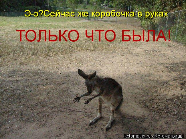 Котоматрица: Э-э?Сейчас же коробочка в руках ТОЛЬКО ЧТО БЫЛА!