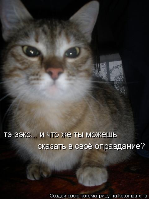 Котоматрица: тэ-ээкс... и что же ты можешь сказать в своё оправдание?