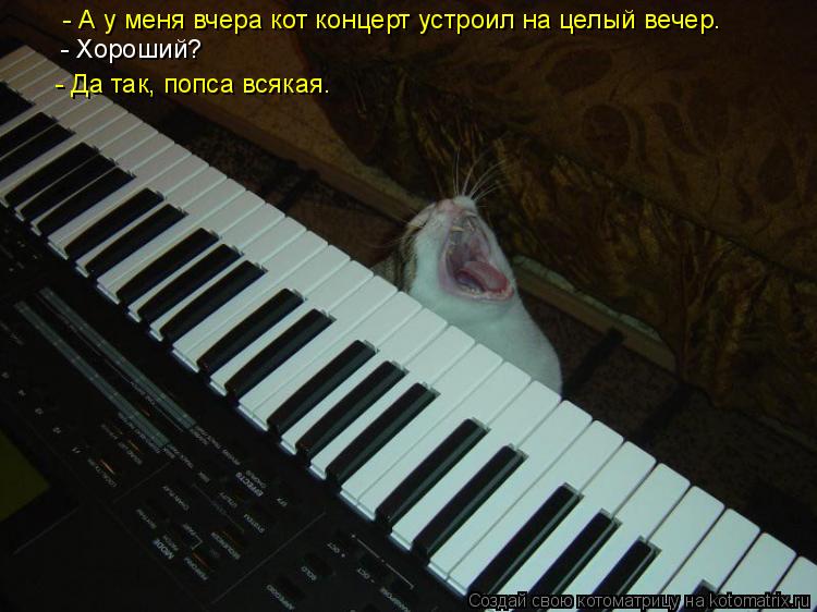Котоматрица: - А у меня вчера кот концерт устроил на целый вечер. - Хороший?  - Да так, попса всякая.