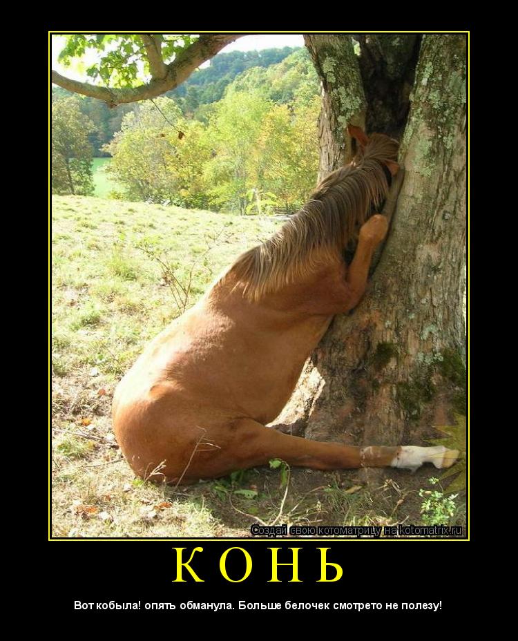 Котоматрица: К О Н Ь 
