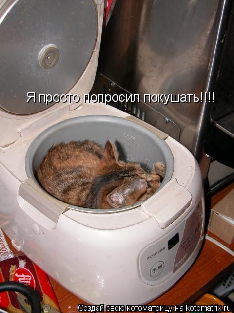 Котоматрица: Я просто попросил покушать!!!!