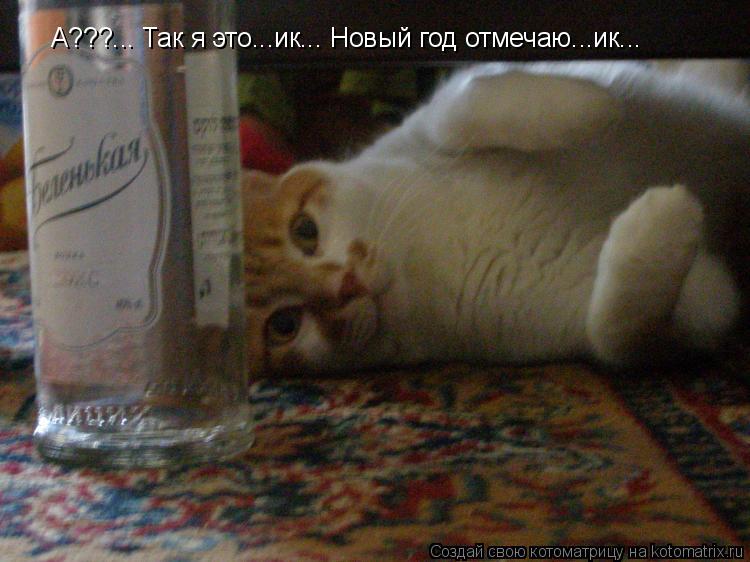 Котоматрица: А???... Так я это...ик... Новый год отмечаю...ик...