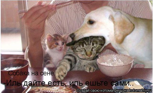 Котоматрица: Собака на сене. -Иль дайте есть, иль ешьте сами….