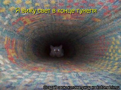 Котоматрица: Я вижу свет в конце тунеля