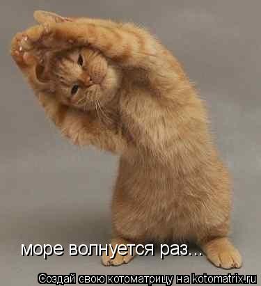 Котоматрица: море волнуется раз...