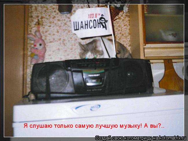 Я слушаю только самую лучшую музыку! А вы?..... Котоматрица: Я слушаю только самую лучшую музыку! А вы?..