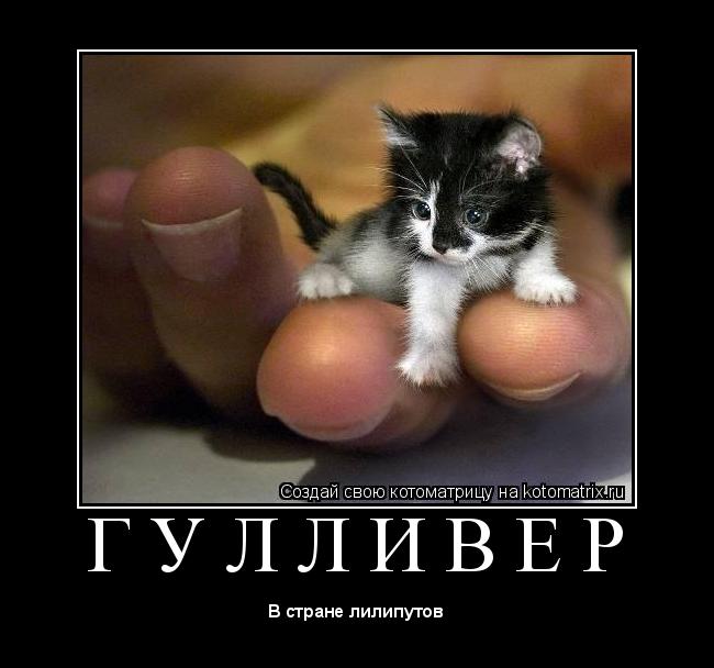 Котоматрица: Г У Л Л И В Е Р 