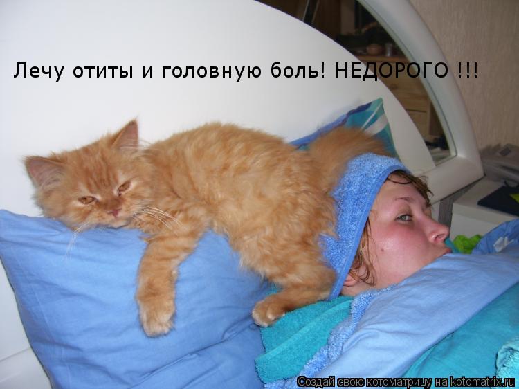 Лечу отиты и головную боль! НЕДОРОГО !!!... Котоматрица: Лечу отиты и головную боль! НЕДОРОГО !!!