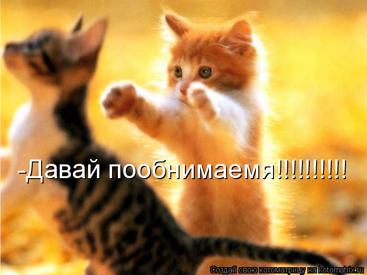 Котоматрица: -Давай пообнимаемя!!!!!!!!!!
