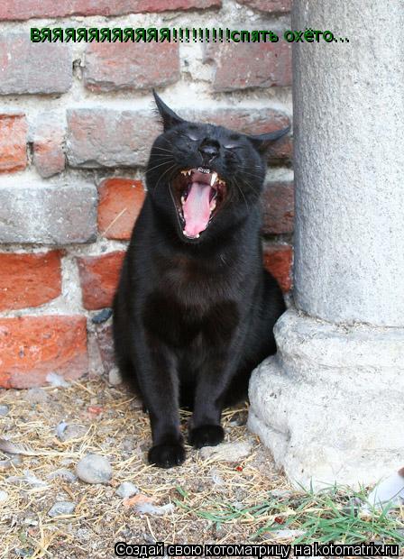Котоматрица: ВЯЯЯЯЯЯЯЯЯЯЯ!!!!!!!!!спять охёто...