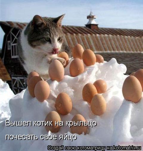 Вышел котик на крыльцо почесать свое яйцо Вышел котик на крыльцо почесать свое яйцо... Котоматрица: Вышел котик на крыльцо почесать свое яйцо Вышел котик на крыльцо почесать свое яйцо
