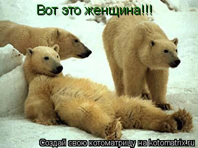 Котоматрица: Вот это женщина!!!