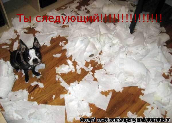 Ты следующий!!!!!!!!!!!!!!!... Котоматрица: Ты следующий!!!!!!!!!!!!!!!