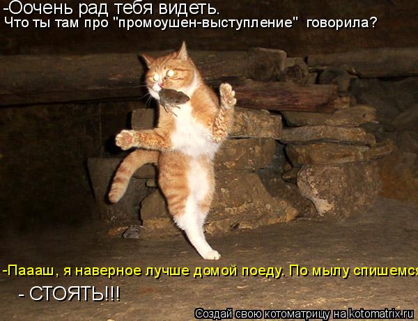 Котоматрица: -Оочень рад тебя видеть.  Что ты там про "промоушен-выступление"  говорила? -Паааш, я наверное лучше домой поеду. По мылу спишемся. - СТОЯТЬ!!!