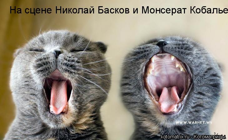 Котоматрица: На сцене Николай Басков и Монсерат Кобалье