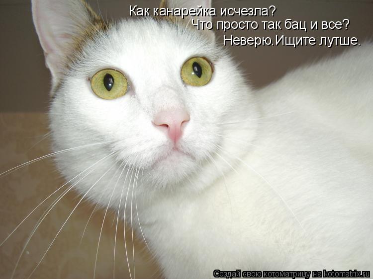 Котоматрица: Как канарейка исчезла? Что просто так бац и все? Неверю.Ищите лутше.