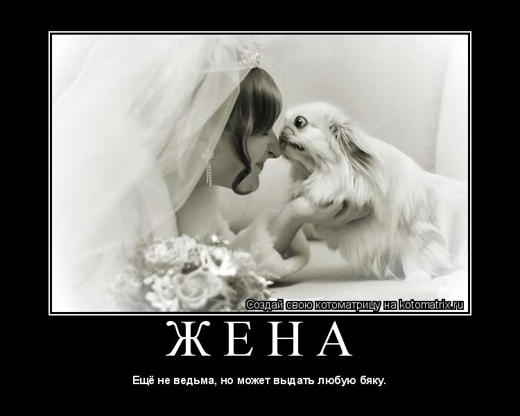 Котоматрица: Ж Е Н А 