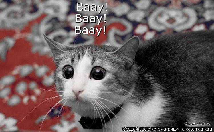 Котоматрица: Ваау! Ваау! Ваау!