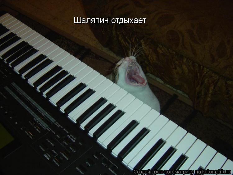 Котоматрица: Шаляпин отдыхает