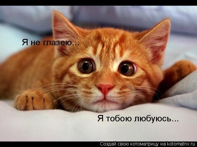 любуюсь тобой картинки любуюсь тобой картинки