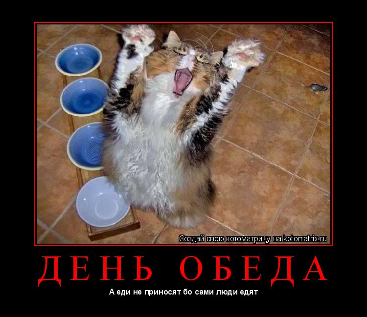 Котоматрица: Д Е Н Ь   О Б Е Д А 
