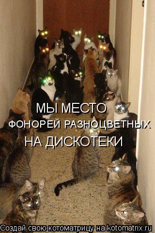 Котоматрица: МЫ МЕСТО  ФОНОРЕЙ РАЗНОЦВЕТНЫХ  НА ДИСКОТЕКИ