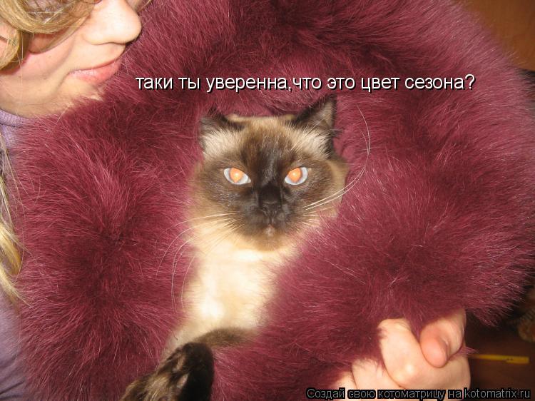 Котоматрица: таки ты уверенна,что это цвет сезона?