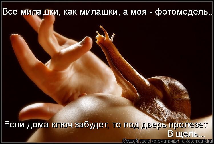 Все милашки, как милашки, а моя - фотомодель... Если дома ключ забудет, то под дверь пролезет В щель... Котоматрица: Все милашки, как милашки, а моя - фотомодель... Если дома ключ забудет, то под дверь пролезет В щель...