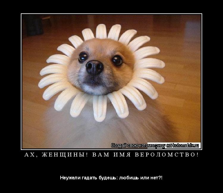 Котоматрица: А Х ,   Ж Е Н Щ И Н Ы !   В А М   И М Я   В Е Р О Л О М С Т В О ! 