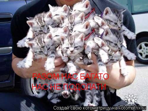 Котоматрица: РАЗОМ НАС БАГАТО  НАС НЕ ПОДОЛАТИ