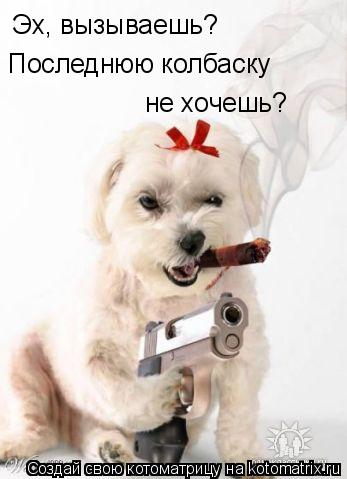 Котоматрица: Эх, вызываешь? Последнюю колбаску не хочешь?