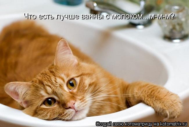 Котоматрица: Что есть лучше ванны с молоком...м-м-м?
