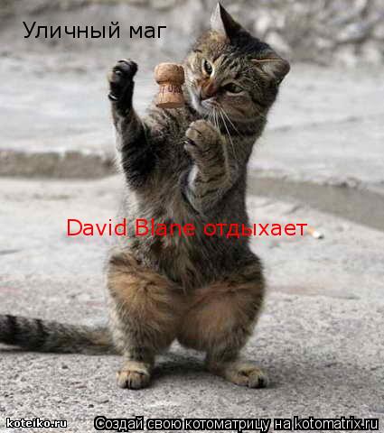 Котоматрица: Уличный маг David Blane отдыхает