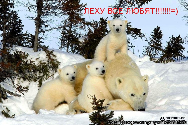 Котоматрица: ЛЕХУ ВСЕ ЛЮБЯТ!!!!!!!=)