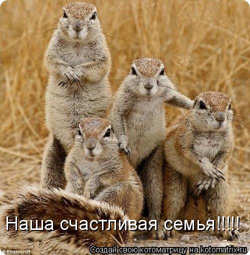Котоматрица: Наша счастливая семья!!!!!