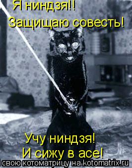 Я ниндзя!! Защищаю совесть! Учу ниндзя! И сижу в асе!... Котоматрица: Я ниндзя!! Защищаю совесть! Учу ниндзя! И сижу в асе!