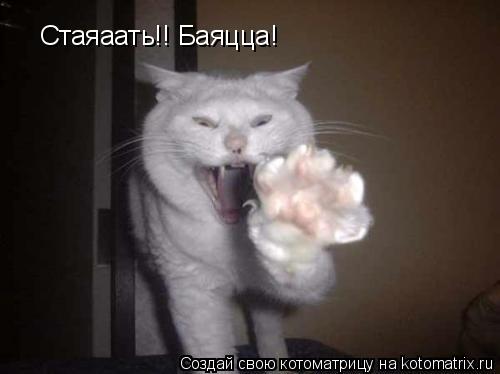 Стаяаать!! Баяцца!... Котоматрица: Стаяаать!! Баяцца!
