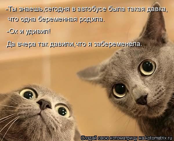 Котоматрица: -Ты знаешь,сегодня в автобусе была такая давка, что одна беременная родила. -Ох и удивил!  Да вчера так давили,что я забеременела.